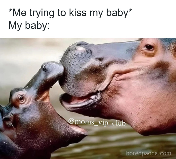 121 Memes That Prove Parenting Is 50% Love, 50% Laundry, 100% Chaos, And 0% Sleep