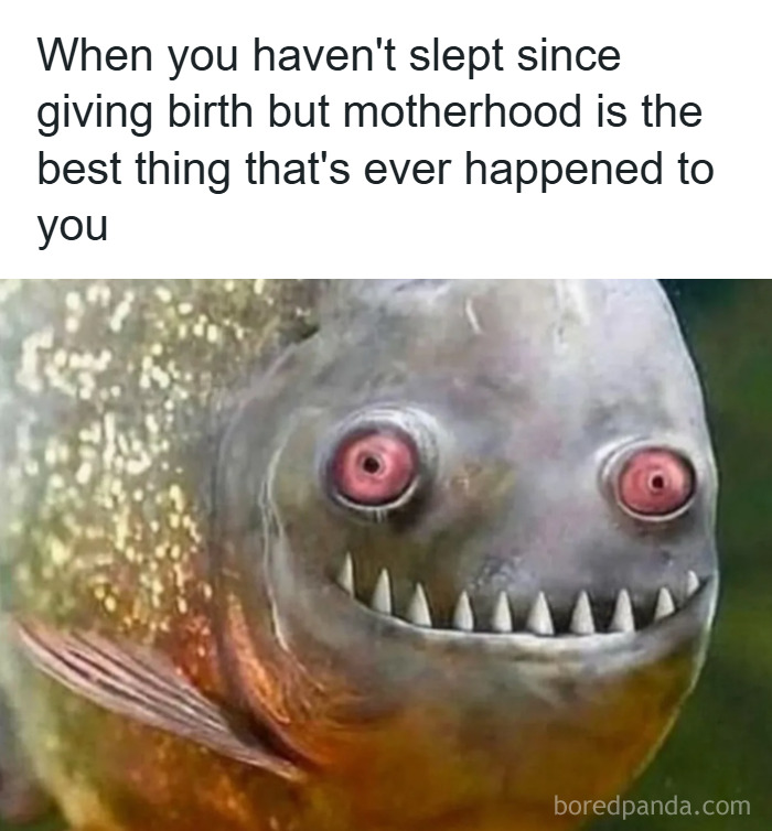 121 Memes That Prove Parenting Is 50% Love, 50% Laundry, 100% Chaos, And 0% Sleep