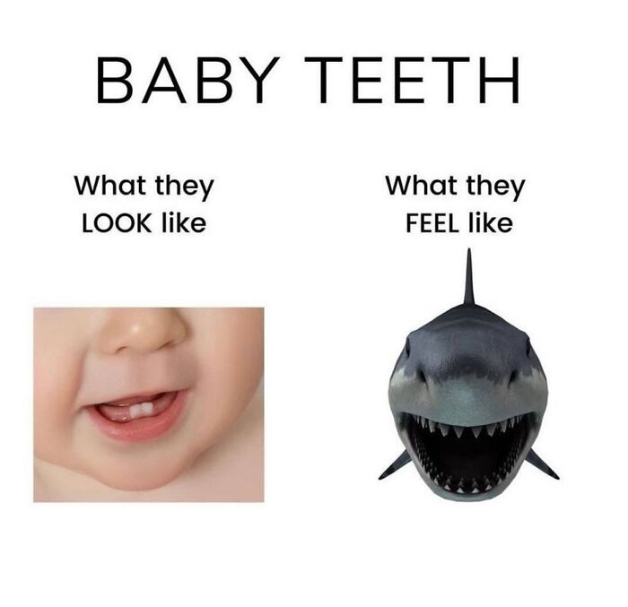 121 Memes That Prove Parenting Is 50% Love, 50% Laundry, 100% Chaos, And 0% Sleep