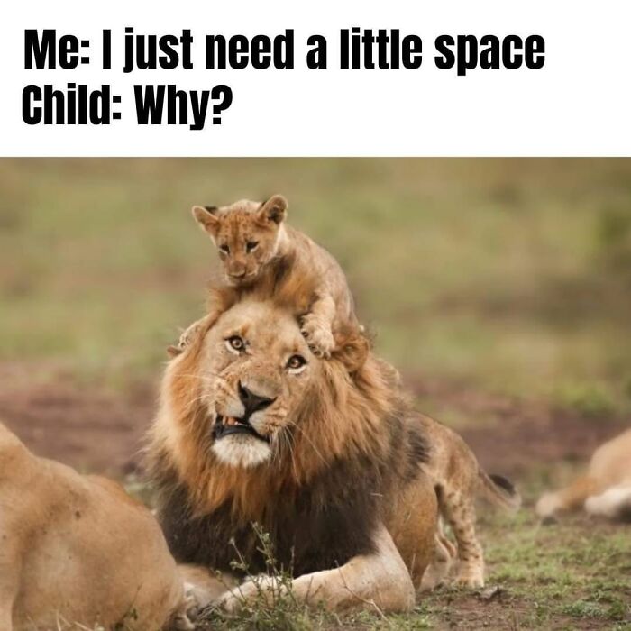121 Memes That Prove Parenting Is 50% Love, 50% Laundry, 100% Chaos, And 0% Sleep