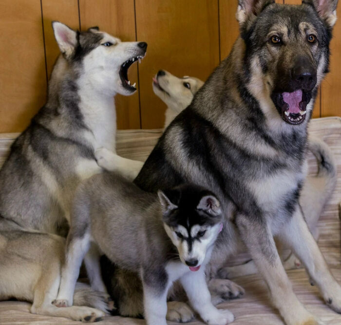 73 Times Families Took These Photos Only To End Up Being Laughed Or Cringed At Online Forever