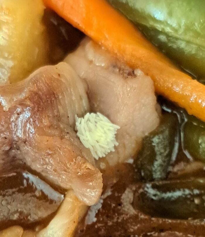 95 Cursed And Disgusting Pictures Of Food That Might Make You Go “Eeeeew!”