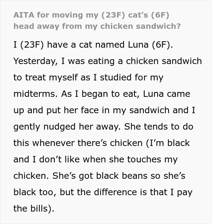 “She Got Political”: Woman Refuses To Share Her Chicken Sandwich With Her Cat, Wonders If She’s The Jerk