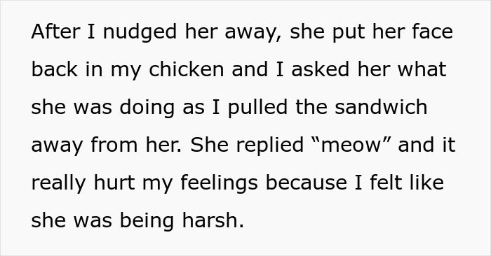 “She Got Political”: Woman Refuses To Share Her Chicken Sandwich With Her Cat, Wonders If She’s The Jerk