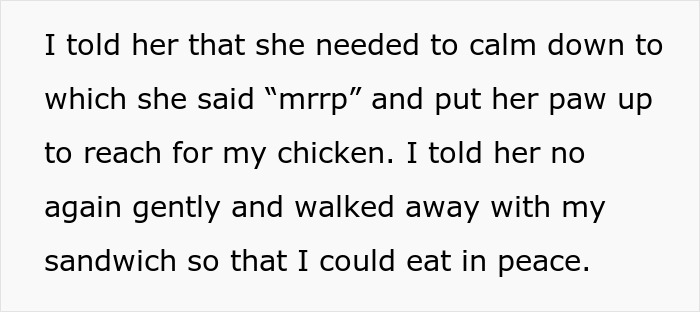 “She Got Political”: Woman Refuses To Share Her Chicken Sandwich With Her Cat, Wonders If She’s The Jerk