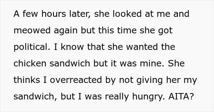“She Got Political”: Woman Refuses To Share Her Chicken Sandwich With Her Cat, Wonders If She’s The Jerk