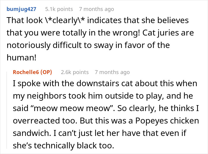 “She Got Political”: Woman Refuses To Share Her Chicken Sandwich With Her Cat, Wonders If She’s The Jerk