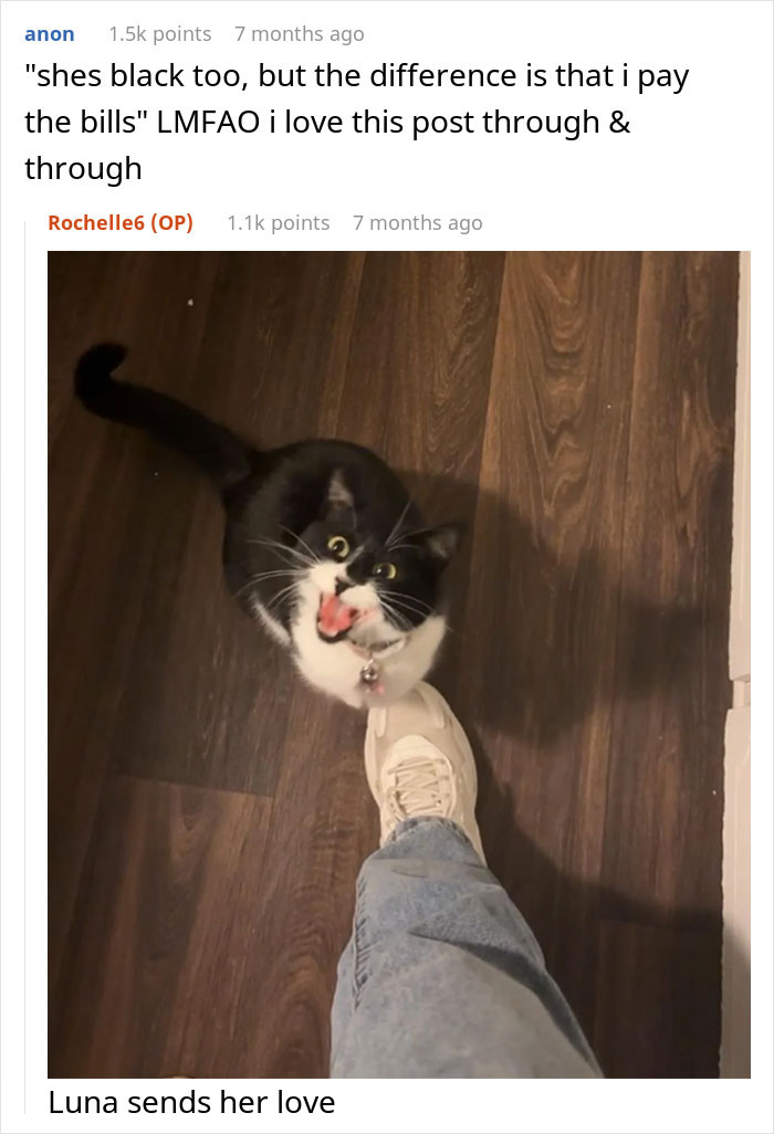 “She Got Political”: Woman Refuses To Share Her Chicken Sandwich With Her Cat, Wonders If She’s The Jerk