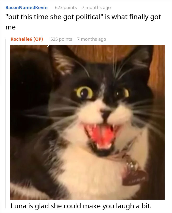 “She Got Political”: Woman Refuses To Share Her Chicken Sandwich With Her Cat, Wonders If She’s The Jerk