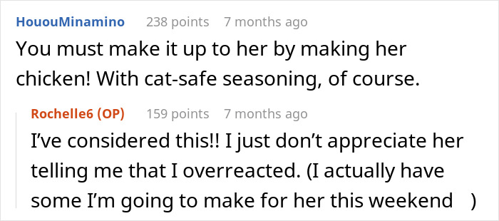 “She Got Political”: Woman Refuses To Share Her Chicken Sandwich With Her Cat, Wonders If She’s The Jerk