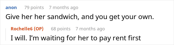 “She Got Political”: Woman Refuses To Share Her Chicken Sandwich With Her Cat, Wonders If She’s The Jerk