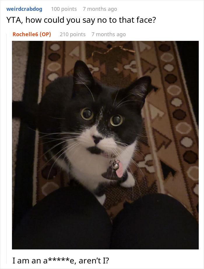 “She Got Political”: Woman Refuses To Share Her Chicken Sandwich With Her Cat, Wonders If She’s The Jerk