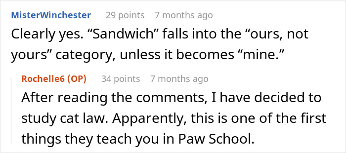 “She Got Political”: Woman Refuses To Share Her Chicken Sandwich With Her Cat, Wonders If She’s The Jerk