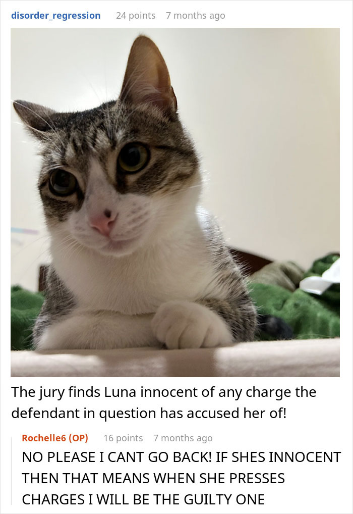 “She Got Political”: Woman Refuses To Share Her Chicken Sandwich With Her Cat, Wonders If She’s The Jerk
