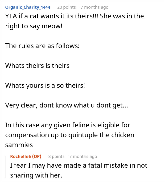 “She Got Political”: Woman Refuses To Share Her Chicken Sandwich With Her Cat, Wonders If She’s The Jerk