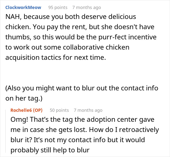 “She Got Political”: Woman Refuses To Share Her Chicken Sandwich With Her Cat, Wonders If She’s The Jerk