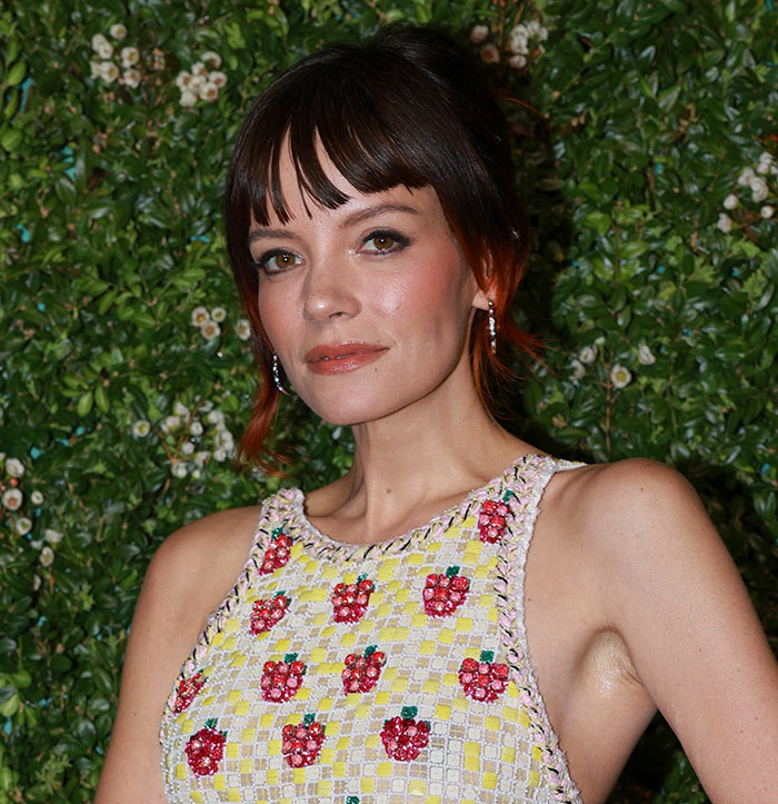 Lily Allen’s Heartbreaking Confession Has Internet Split Over Whether David Harbour Should Be Fired