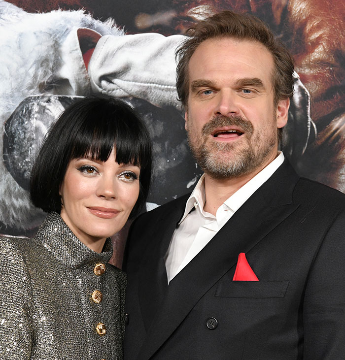 Lily Allen’s Heartbreaking Confession Has Internet Split Over Whether David Harbour Should Be Fired