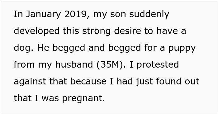 Manchild Refuses To Help Kid Look For Their Lost Dog As He’s Busy Playing, Wife Throws Xbox Away