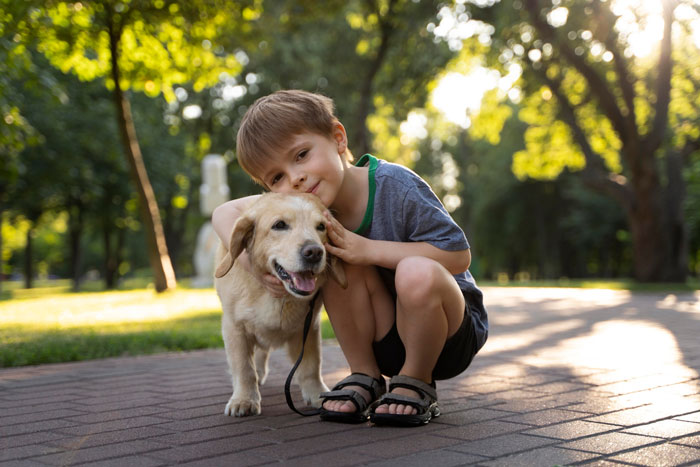 Manchild Refuses To Help Kid Look For Their Lost Dog As He’s Busy Playing, Wife Throws Xbox Away