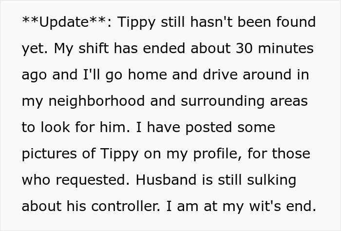 Manchild Refuses To Help Kid Look For Their Lost Dog As He’s Busy Playing, Wife Throws Xbox Away