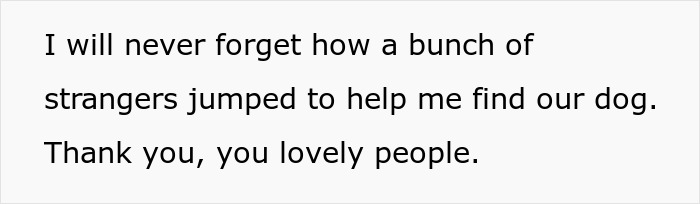 Manchild Refuses To Help Kid Look For Their Lost Dog As He’s Busy Playing, Wife Throws Xbox Away