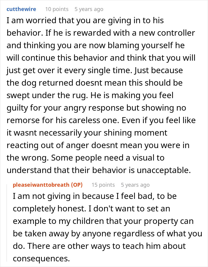 Manchild Refuses To Help Kid Look For Their Lost Dog As He’s Busy Playing, Wife Throws Xbox Away