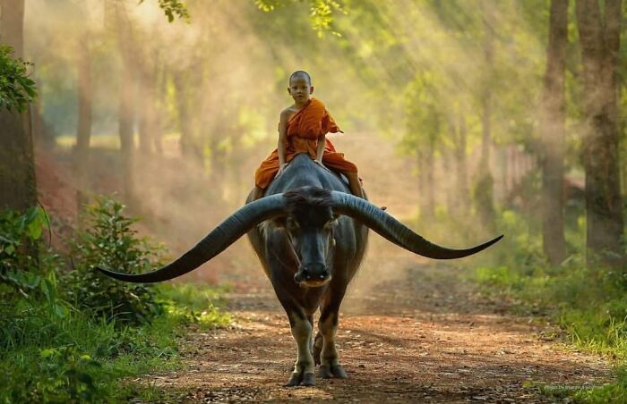 33 Beautiful Photos Of Childhood Around The World, Shared By The ‘Photocrowd’ Instagram Account
