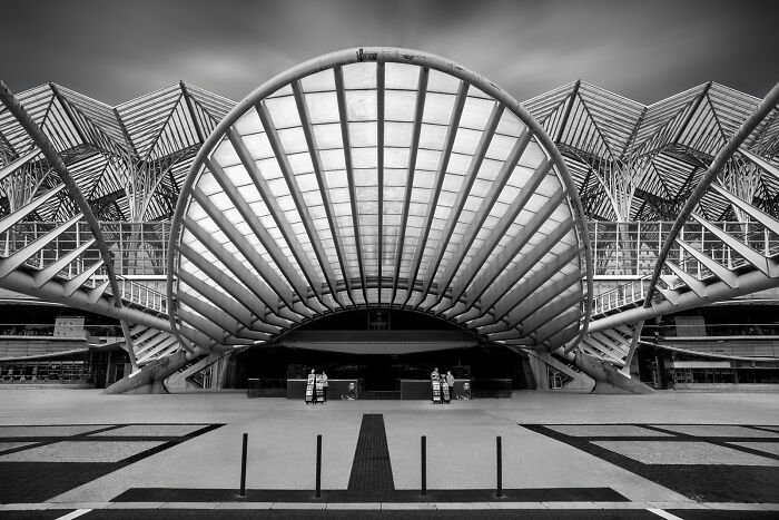 2025 Spotlight Awards For Advertising Photography (15 Pics)