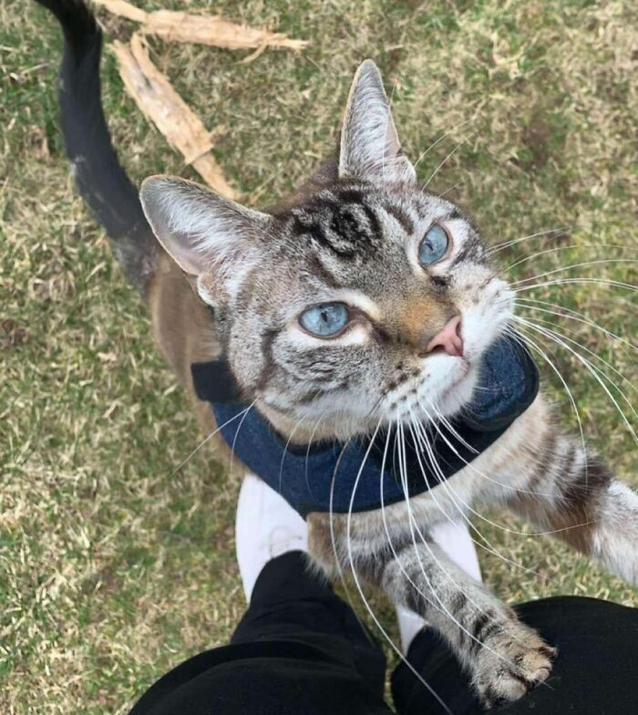 43 Animals So Happy, It Might Paint A Smile On Your Face