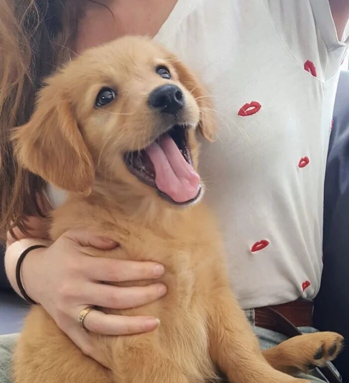 43 Animals So Happy, It Might Paint A Smile On Your Face