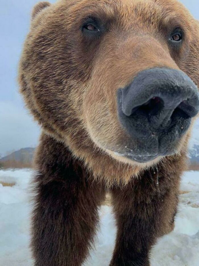 43 Animals So Happy, It Might Paint A Smile On Your Face