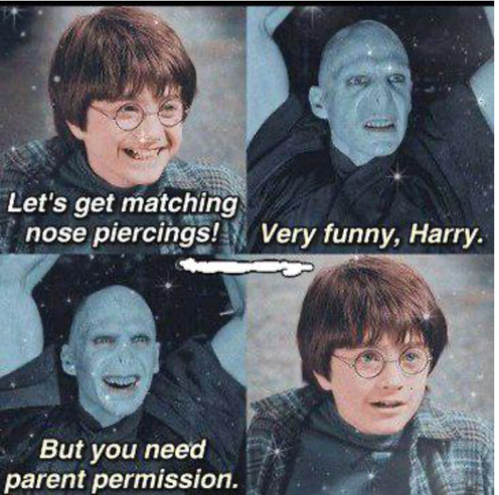 You Don’t Have To Be A Wizard To Laugh At These 40 Harry Potter Memes (38 New Pics)