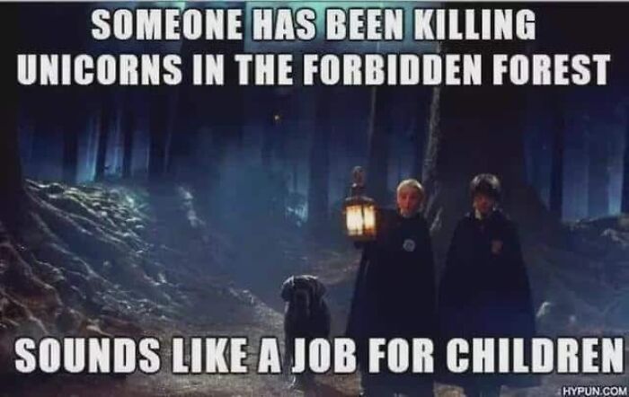 You Don’t Have To Be A Wizard To Laugh At These 40 Harry Potter Memes (38 New Pics)