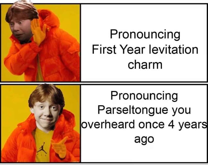 You Don’t Have To Be A Wizard To Laugh At These 40 Harry Potter Memes (38 New Pics)
