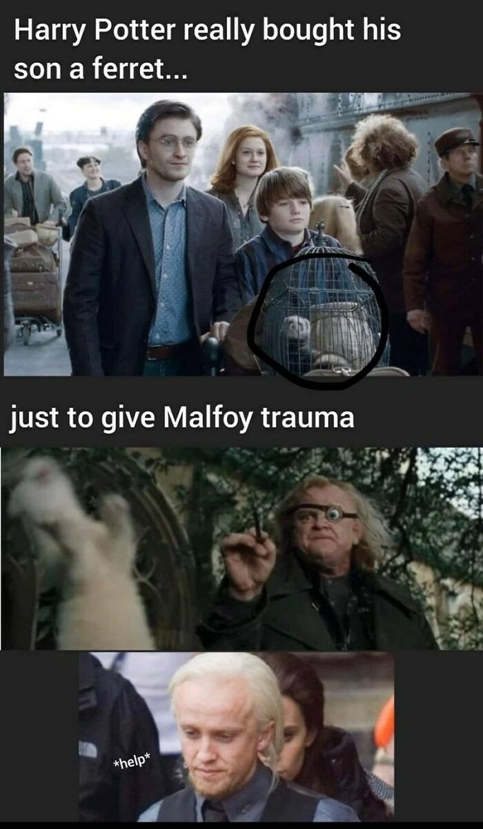 You Don’t Have To Be A Wizard To Laugh At These 40 Harry Potter Memes (38 New Pics)