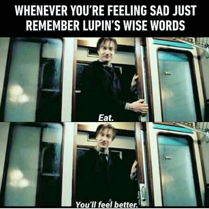You Don’t Have To Be A Wizard To Laugh At These 40 Harry Potter Memes (38 New Pics)