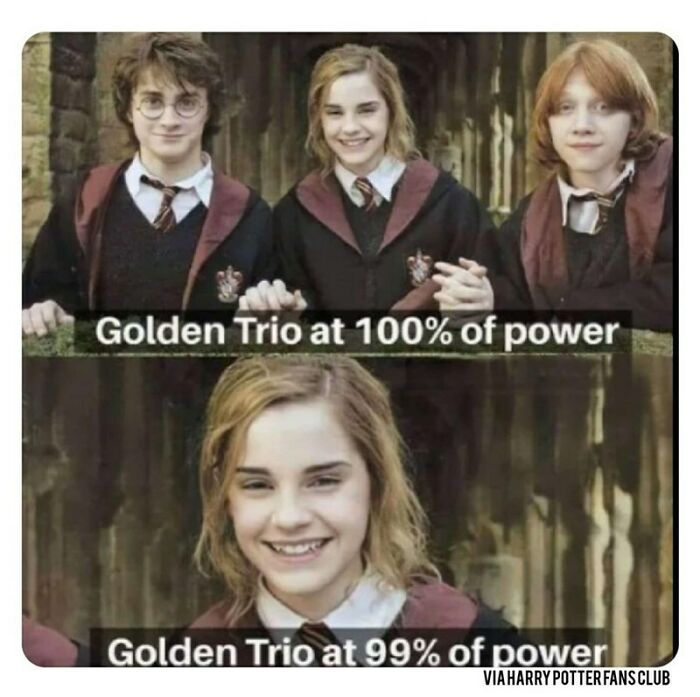 You Don’t Have To Be A Wizard To Laugh At These 40 Harry Potter Memes (38 New Pics)