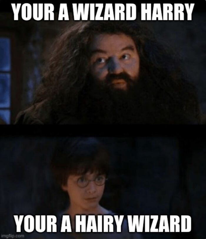 You Don’t Have To Be A Wizard To Laugh At These 40 Harry Potter Memes (38 New Pics)