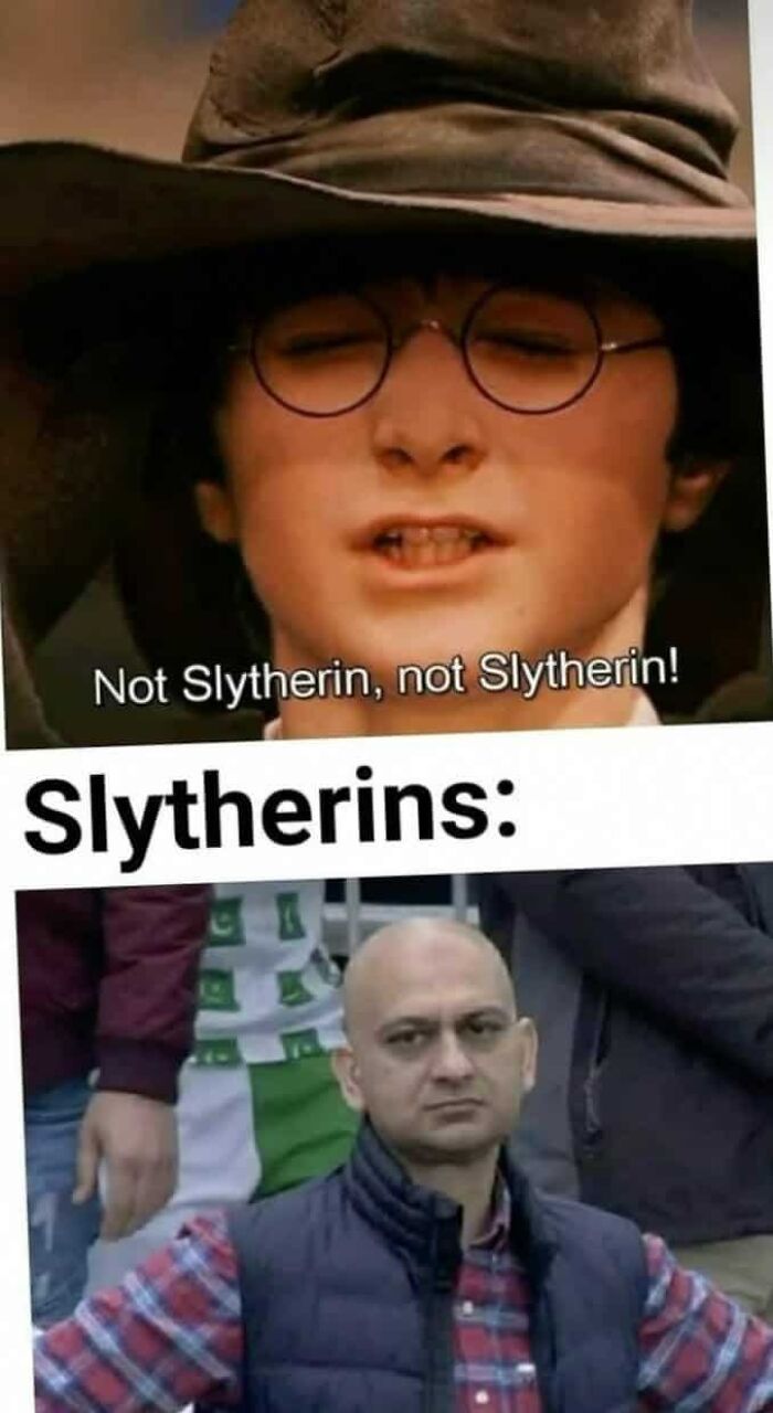You Don’t Have To Be A Wizard To Laugh At These 40 Harry Potter Memes (38 New Pics)