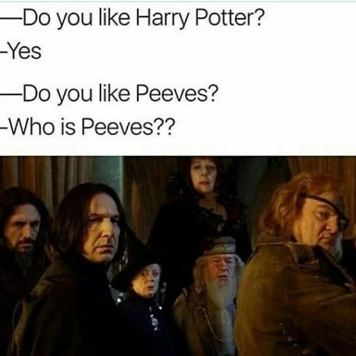 You Don’t Have To Be A Wizard To Laugh At These 40 Harry Potter Memes (38 New Pics)
