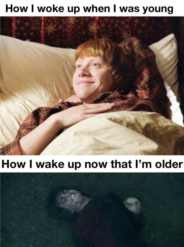 You Don’t Have To Be A Wizard To Laugh At These 40 Harry Potter Memes (38 New Pics)