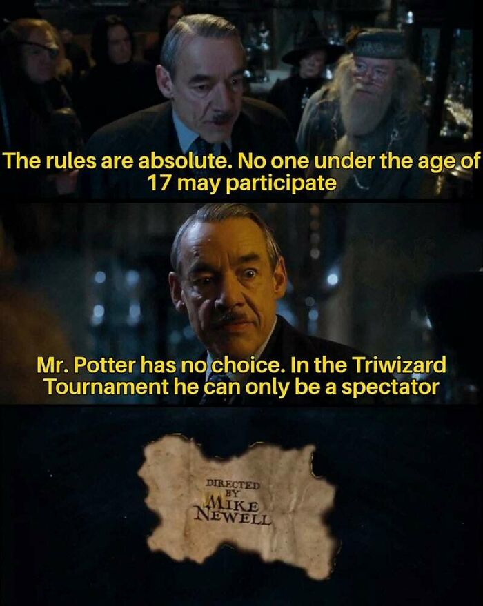You Don’t Have To Be A Wizard To Laugh At These 40 Harry Potter Memes (38 New Pics)