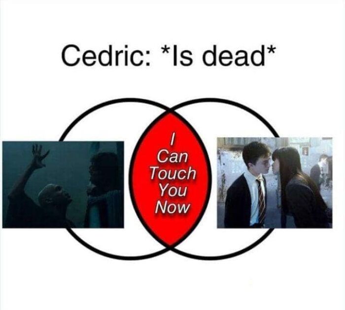 You Don’t Have To Be A Wizard To Laugh At These 40 Harry Potter Memes (38 New Pics)