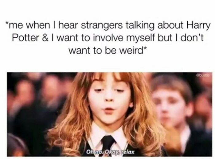 You Don’t Have To Be A Wizard To Laugh At These 40 Harry Potter Memes (38 New Pics)