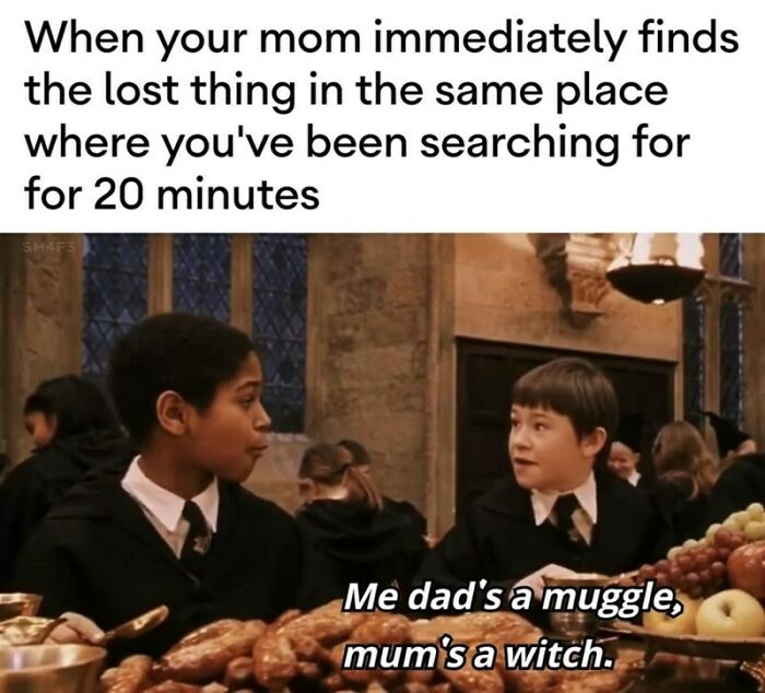 You Don’t Have To Be A Wizard To Laugh At These 40 Harry Potter Memes (38 New Pics)