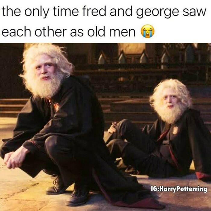 You Don’t Have To Be A Wizard To Laugh At These 40 Harry Potter Memes (38 New Pics)
