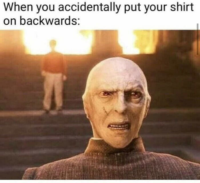 You Don’t Have To Be A Wizard To Laugh At These 40 Harry Potter Memes (38 New Pics)