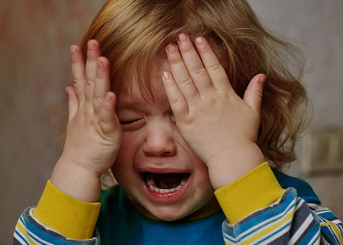 Sister Demands Child-Free Sibling Take In Her 3 Kids In An Emergency, Surprised It Doesn&#8217;t Go Well