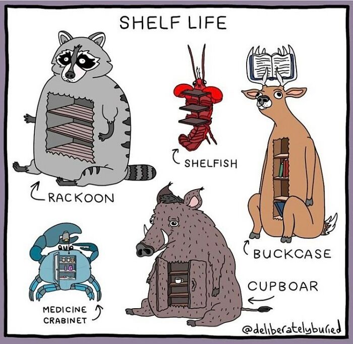 The 46 Best Comics With Unexpected Endings For Those With A Darker Sense Of Humor By Sean Berthiaume